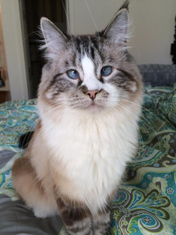 /Images/uploads/Humane Society of Utah/HSUCalendar/entries/1050thumb.jpg